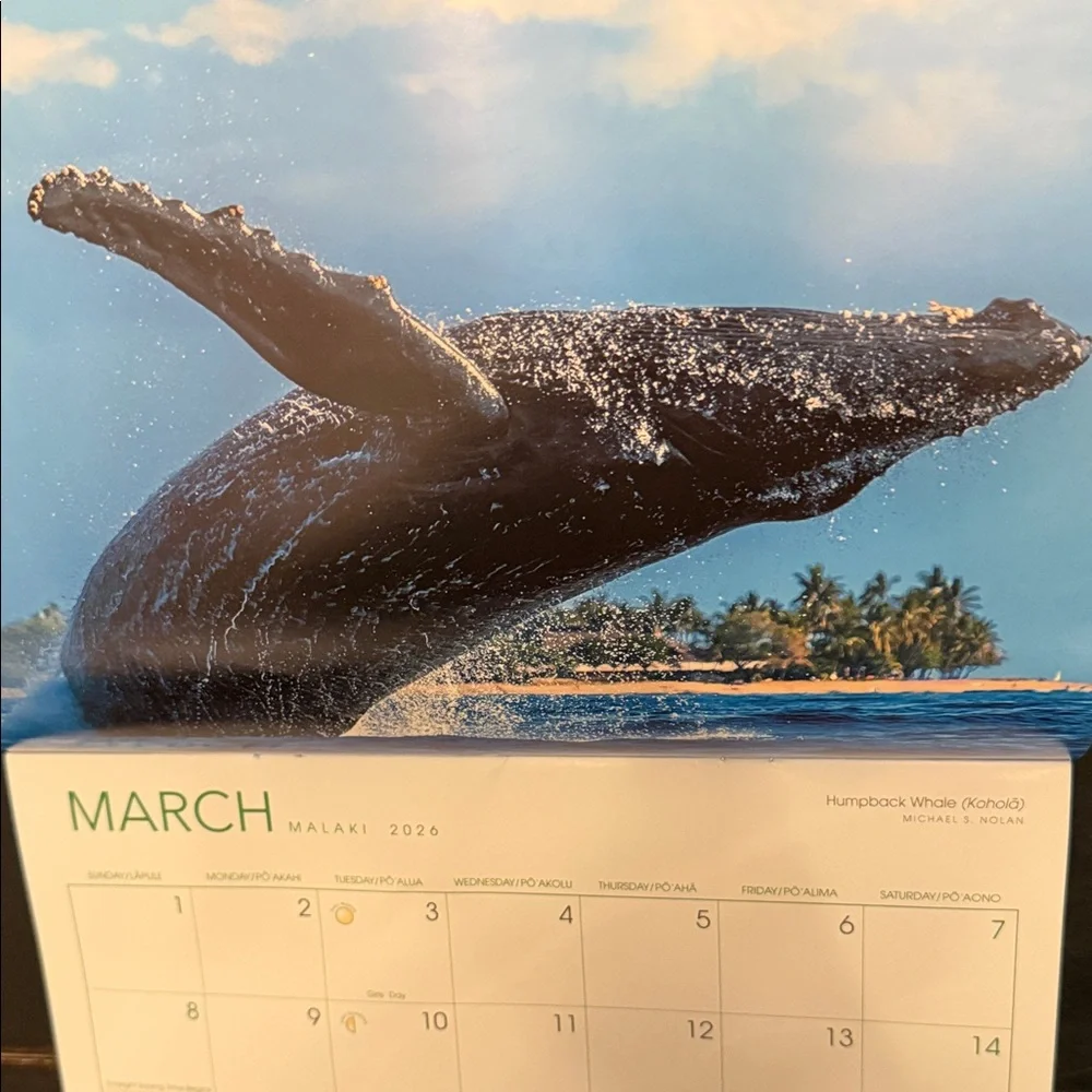 Maui 2026 Calendar - Vibrant Blue and Gold